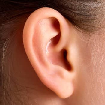 Réflexologie auriculaire